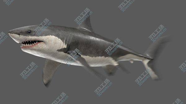 images/goods_img/20210312/3D Great White Shark Animated/2.jpg